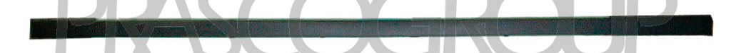 ZIERLEISTE STOSSTANGE HINTEN-MITTE-SCHWARZ-GENARBT MOD. 4 TUERIG > 08/01