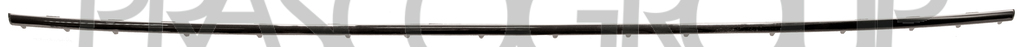 REAR BUMPER MOLDING-CENTRE-CHROME