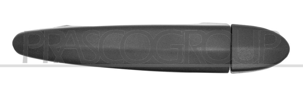 REAR DOOR HANDLE LEFT-OUTER-BLACK