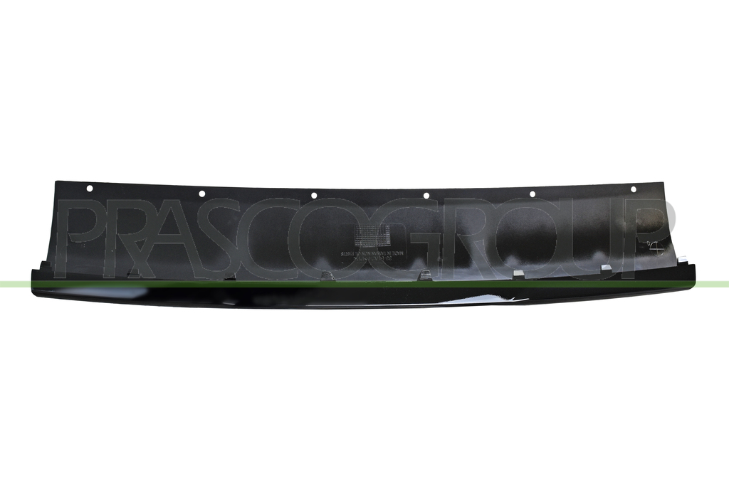 FRONT BUMPER MOLDING-CENTRE-BLACK-GLOSSY