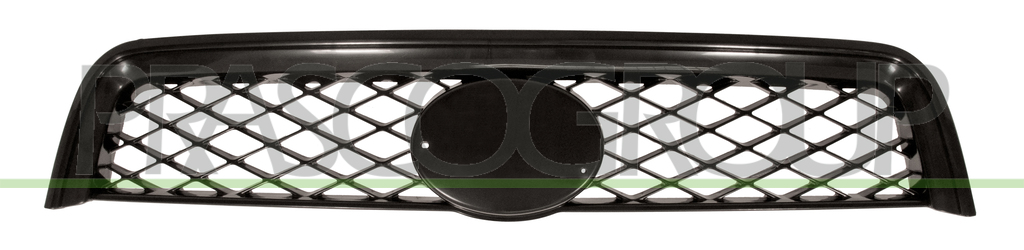 RADIATOR GRILLE-BLACK