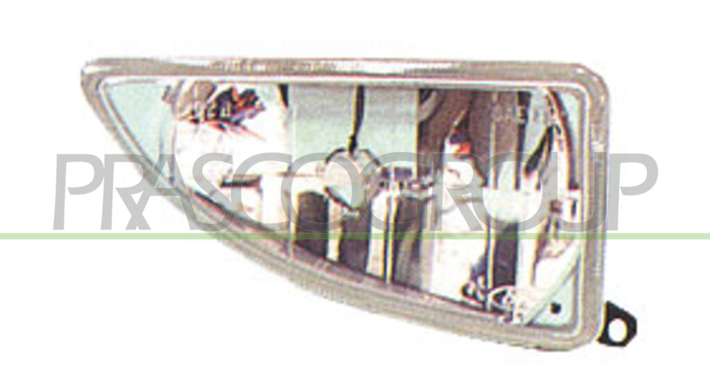 FENDINEBBIA SINISTRO
