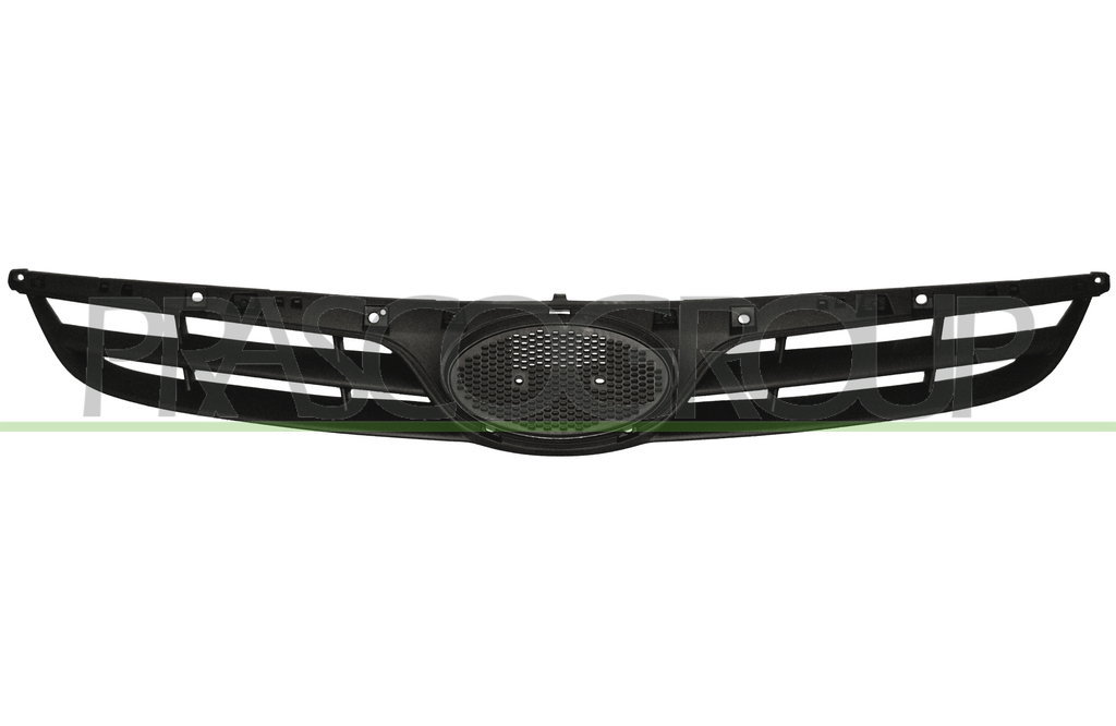 RADIATOR GRILLE-BLACK