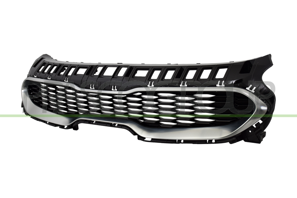 RADIATOR GRILLE-BLACK-WITH SILVER-GRAY MOLDING