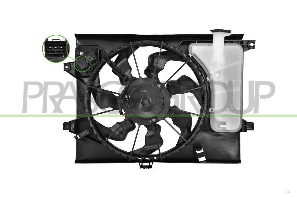 FAN