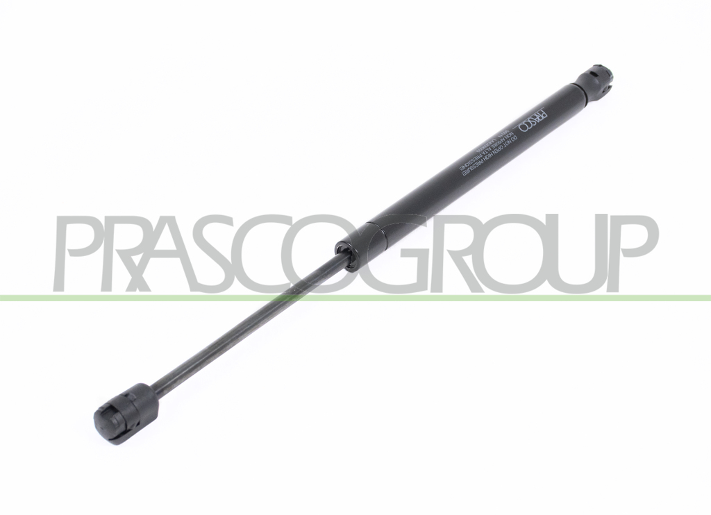 TAILGATE GAS SPRING RIGHT/LEFT - 560 N - L 384 mm - S 138 mm - Ø 18 mm - Ø 8 mm MOD. STATION WAGON