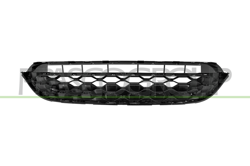 RADIATOR GRILLE-BLACK-WITH CHROME FRAME AND MOLDINGS