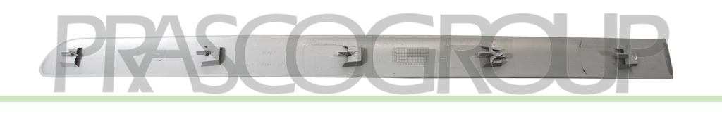 REAR DOOR MOLDING RIGHT-SMOOTH-GRAY-WITH CLIPS MOD. 5 DOOR