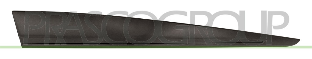 FRONT DOOR MOLDING RIGHT-BLACK-TEXTURED FINISH