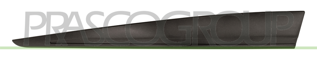 FRONT DOOR MOLDING LEFT-BLACK-TEXTURED FINISH
