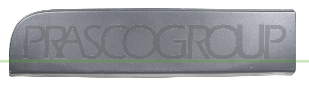 REAR DOOR MOLDING-RIGHT-WITH CLIPS-BLACK-TEXTURED FINISH