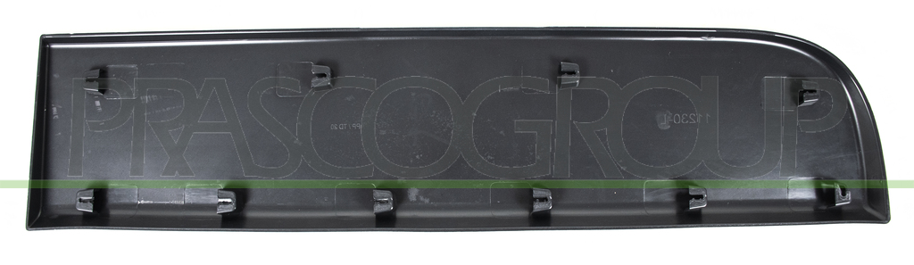 REAR DOOR MOLDING-RIGHT-WITH CLIPS-BLACK-TEXTURED FINISH
