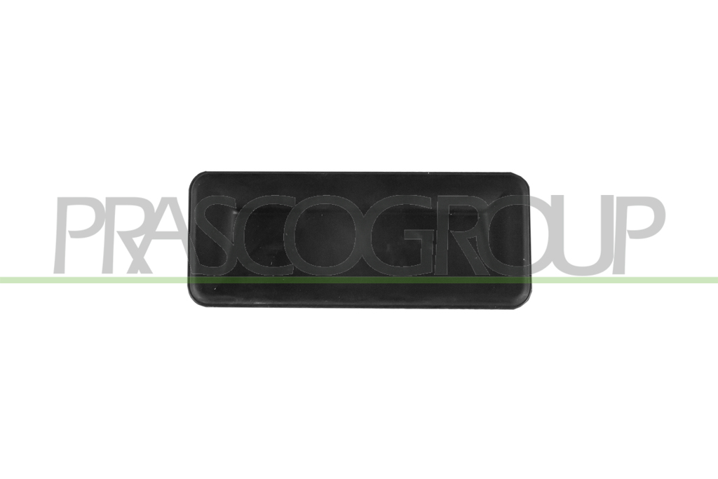 BACK DOOR HANDLE-OUTER-BLACK WITH MICROSWITCH