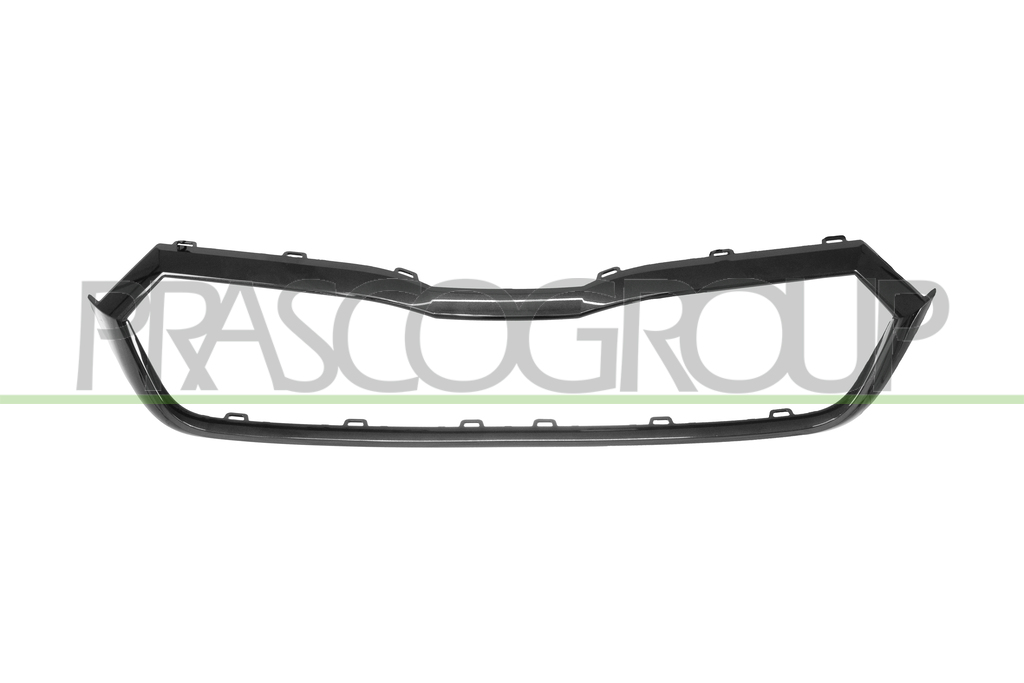 RADIATOR GRILLE FRAME-BLACK-GLOSSY