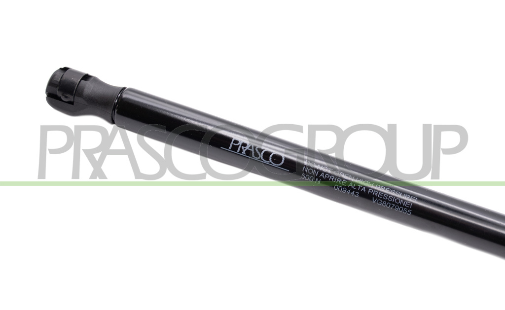 TAILGATE GAS SPRING RIGHT/LEFT - 500 N - L 494 mm - S 192 mm - Ø 18 mm - Ø 8 mm