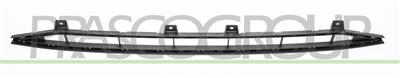 FRONT BUMPER GRILLE-CENTRE-BLACK