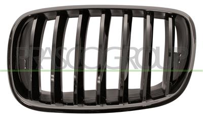 GRILLE CALANDRE GAUCHE NOIRE BRILLANT