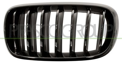 RADIATOR GRILLE LEFT-BLACK-GLOSSY