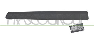 FRONT RIGHT DOOR MOLDING-BLACK