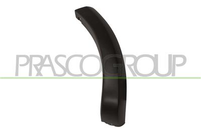 CERCO ALETA TRASERO IZQUIERDO-PARTE TRASERA-NEGRO GRANDULADO