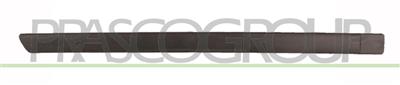 REAR DOOR MOLDING-RIGHT-WITH CLIPS-BLACK-TEXTURED FINISH