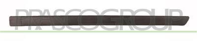 REAR DOOR MOLDING LEFT-WITH CLIPS-BLACK-TEXTURED FINISH