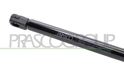 TAILGATE GAS SPRING RIGHT/LEFT - 530 N - L 483 mm - S 192 mm - Ø 18 mm - Ø 8 mm