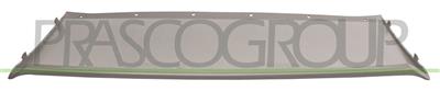 BANDEAU INFERIEURE DE PARE-CHOCS AVANT-GRIS/ARGENT