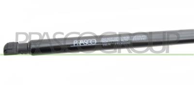 GASDRUCKFEDER HECKKLAPPE RECHTS/LINKS - 350 N - L 456 mm - H 170 mm - Ø 18 mm - Ø 8 mm