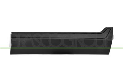 FRONT RIGHT DOOR MOLDING-BLACK-TEXTURED FINISH-WITH CLIPS-WITH BI-ADHESIVE