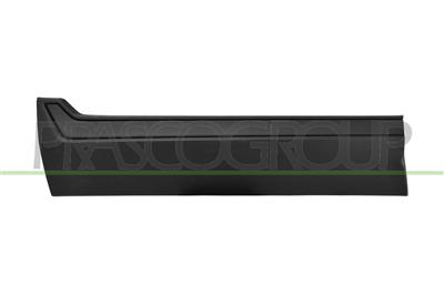 FRONT LEFT DOOR MOLDING-BLACK-TEXTURED FINISH-WITH CLIPS-WITH BI-ADHESIVE