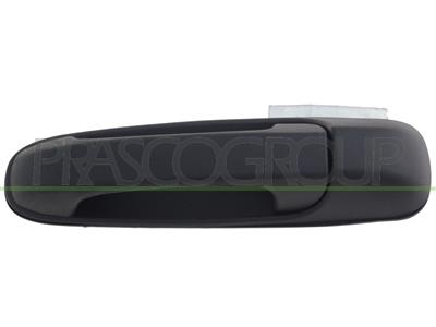 BACK DOOR HANDLE-OUTER-BLACK-WITHOUT KEY HOLE