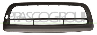 FRONT BUMPER MOLDING-LOWER-DARK GRAY