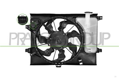 FAN