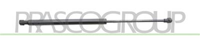 GASDRUCKFEDER HECKKLAPPE RECHTS/LINKS - 90 N - L 445 mm - H 176 mm - Ø 18 mm - Ø 8 mm MOD. COUPE'