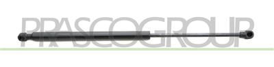 GASDRUCKFEDER HECKKLAPPE RECHTS/LINKS - 90 N - L 445 mm - H 176 mm - Ø 18 mm - Ø 8 mm MOD. COUPE'