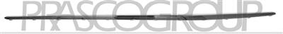DOOR SILL COVER MOLDING RIGHT-BLACK-GLOSSY MOD. AMG