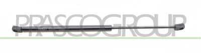 TAILGATE GAS SPRING RIGHT/LEFT - 330 N - L 495 mm - S 188 mm - Ø 18 mm - Ø 8 mm