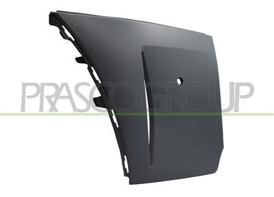 PARAURTI ANTERIORE DESTRO-CON PRIMER-CON FORI PARK ASSIST
