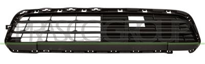BUMPER GRILLE-CENTRE-BLACK