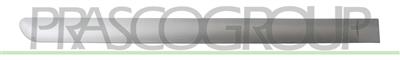 REAR DOOR MOLDING RIGHT-SMOOTH-GRAY-WITH CLIPS MOD. 5 DOOR