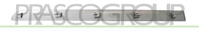 REAR DOOR MOLDING RIGHT-SMOOTH-GRAY-WITH CLIPS MOD. 5 DOOR