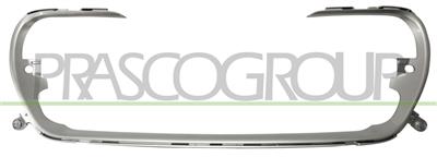GRILLE MOLDING-SATIN