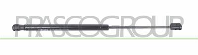 TAILGATE GAS SPRING RIGHT/LEFT-500 N-L 419 mm-S 160 mm-Ø 18 mm-Ø 8 mm