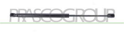 TAILGATE GAS SPRING RIGHT/LEFT-500 N-L 419 mm-S 160 mm-Ø 18 mm-Ø 8 mm