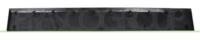 REAR DOOR SIDE MOLDING-RIGHT-BLACK-TEXTURED FINISH-WITH CLIPS MOD. MEDIUM/LONG WHEELBASE