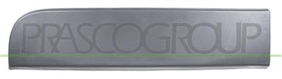 REAR DOOR MOLDING-RIGHT-WITH CLIPS-BLACK-TEXTURED FINISH
