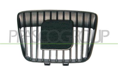 RADIATOR GRILLE CENTRE