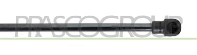 AMORTIGUADOR DE MALETERO DERECHO/IZQUIERDO PORTON TRASERO - 350 N - L 500 mm - C 205 mm - Ø 18 mm - Ø 8 mm