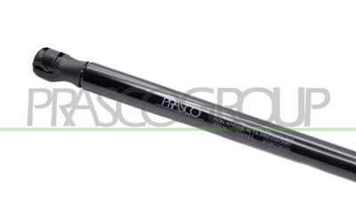 TAILGATE GAS SPRING RIGHT/LEFT - 500 N - L 494 mm - S 192 mm - Ø 18 mm - Ø 8 mm